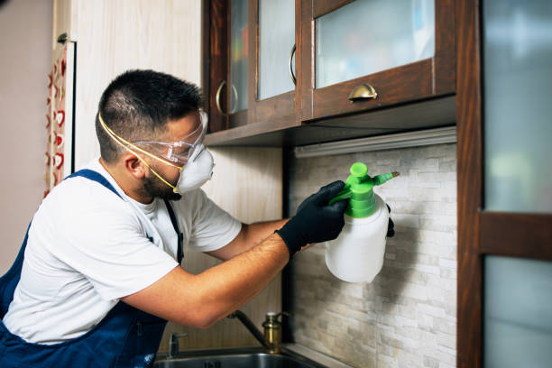Best Mosquito Control Services  in Peridot, AZ