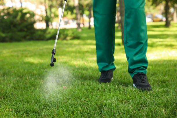 Best Pest Removal Services  in Peridot, AZ