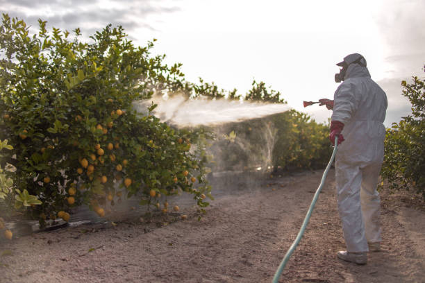 Best Best Pest Control Companies  in Peridot, AZ