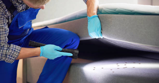 Best Pest Control Near Me  in Peridot, AZ