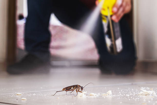 Best Pest Inspection Near Me  in Peridot, AZ